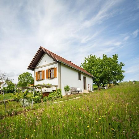 Weinlofts Weinloft I Edlitz im Burgenland Exterior foto