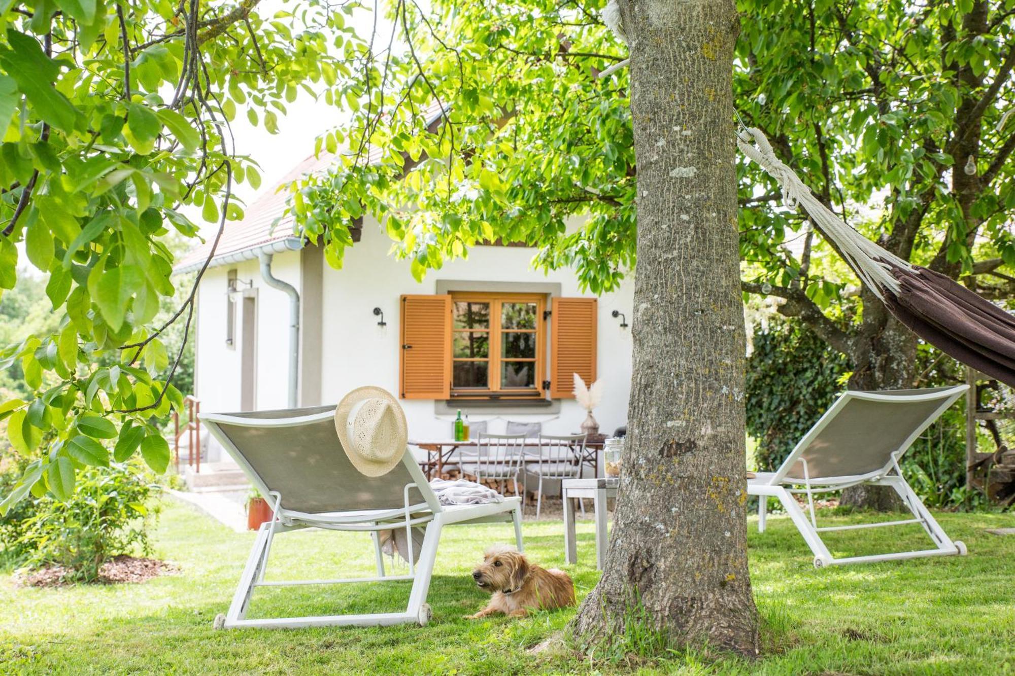 Weinlofts Weinloft I Edlitz im Burgenland Exterior foto